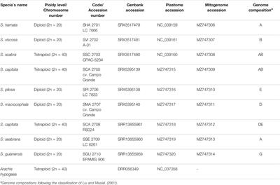 High-Throughput Genomic Data Reveal Complex Phylogenetic Relationships in Stylosanthes Sw (Leguminosae)